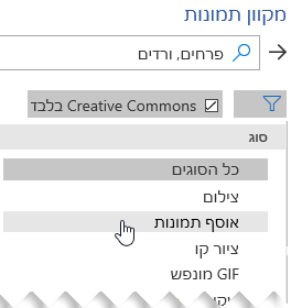 בחר את לחצן 'סנן' ולאחר מכן בחר 'אוסף תמונות'