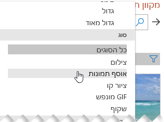 השתמש במסנן 'סוג' כדי למקד את הבחירות שלך לפריטי אוסף תמונות בלבד