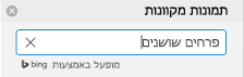 הקלד מונחי חיפוש המתארים את פריט אוסף התמונות שברצונך לחפש