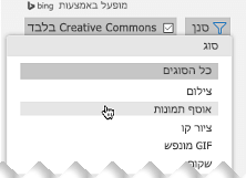 פתח את הפילטר ולאחר מכן תחת סוג, בחר אוסף תמונות