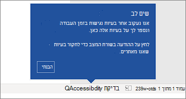 שורת מצב המראה שבודק הנגישות פועל