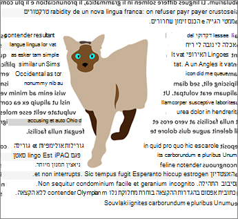 גלישת שני הצדדים