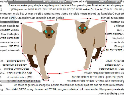 נקודות גלישה שלא נערכו