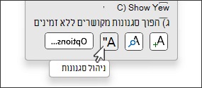 לחצן 'נהל סגנונות' בתיבת הדו-שיח 'סגנונות'
