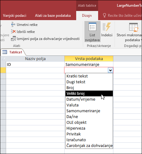 Snimka zaslona popisa vrsta podataka u tablici programa Access. Odabran je veliki broj.