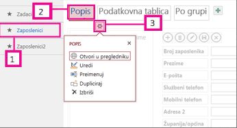 Raspoloživi prikazi za aplikaciju programa Access