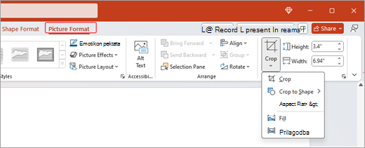 Snimka zaslona prikazuje mogućnosti oblikovanja slike na vrpci i značajku obrezivanja otvorenu u programu Microsoft PowerPoint.