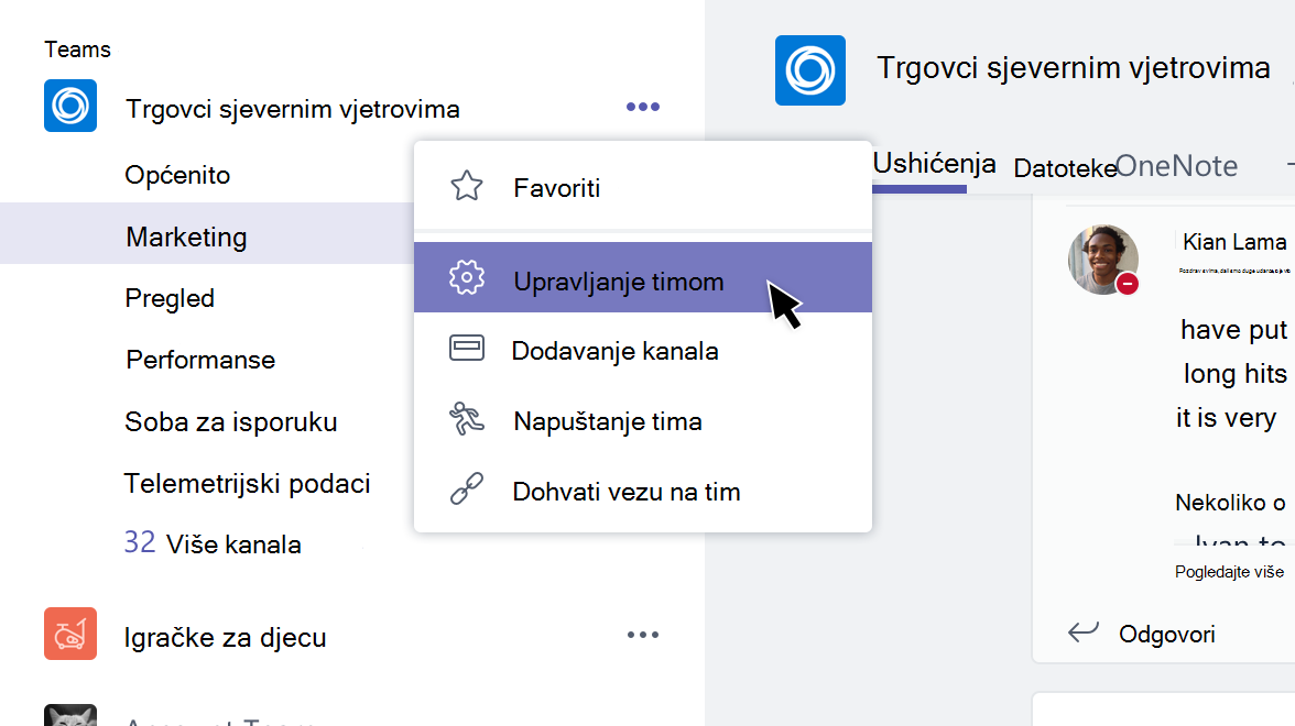 Izbornik tima s odabranom opcijom Upravljanje timom