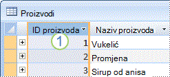 Slika prikazuje tablicu Proizvodi s poljem primarnog ključa.