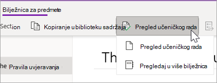 Gumb Pregled učeničkog rada. Pregled, učenički rad i pregled, pregled, u više bilježnica su mogućnosti.