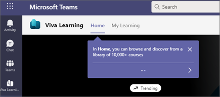 Slika oznaka trenera u usluzi Viva Learning.
