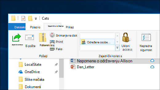 Dijeljenje datoteke s određenim osobama na mreži