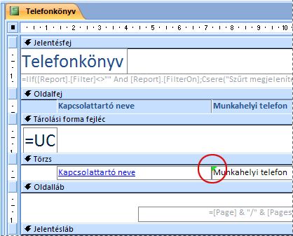 Elgépelt azonosítójú szövegmezőt tartalmazó jelentés