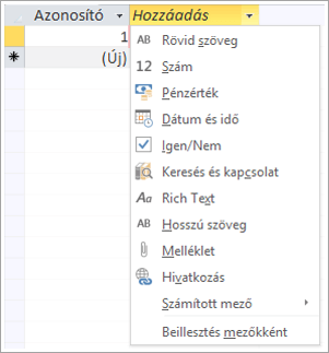 képernyőrészlet az adattípus hozzáadásához kattintson a legördülő menüből