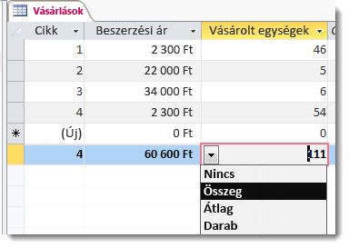 Összesítő sor, benne az Összeg és a Szám funkcióval