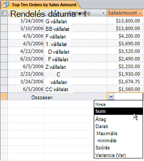 A Total row in a datasheet with a choice of functions