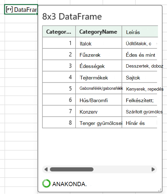 Egy nyitott Python az Excelben DataFrame-kártya, amely kategóriaadatokat jelenít meg.