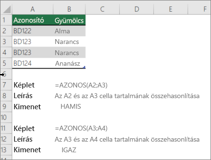 Példa az AZONOS függvény használatával egy cella egy másik cellával való összehasonlítására