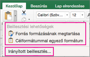 Beillesztés menü, beállításokkal és az Irányított beillesztés elemmel