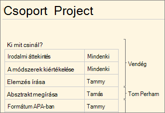 Több szerző a OneNote Web Appban