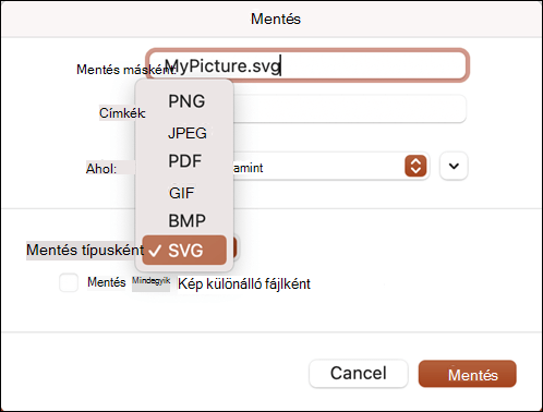 Mentés másként párbeszédpanel a Mac PowerPoint 2021 programban SVG beállítás kiválasztásával