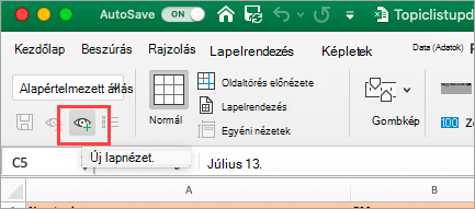 Megjeleníti az Excel-munkafüzetet