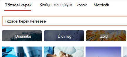 Tárolt képek megjelenítése