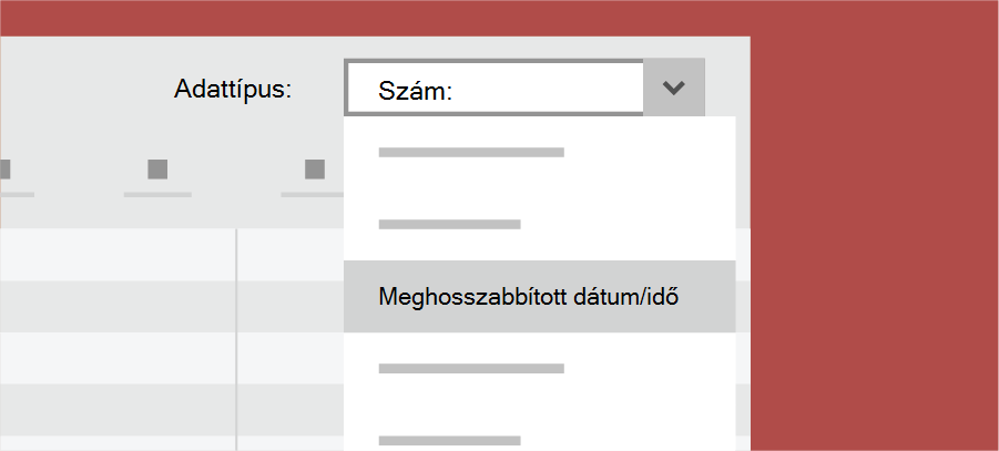 Megjeleníti az Access adattípusát