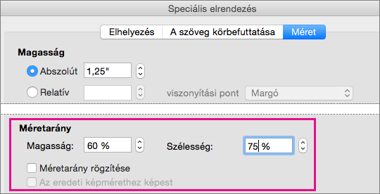 A Speciális elrendezés párbeszédpanel Méret lapján kiemelt méretarány-beállítások.
