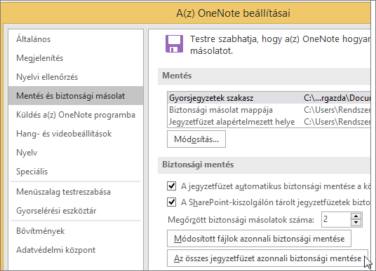 Screenshot of the OneNote Options dialog box in OneNote 2016.