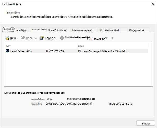 Válasszon egy nevet a Fiókbeállítások, Email-fiókok párbeszédpanelen.