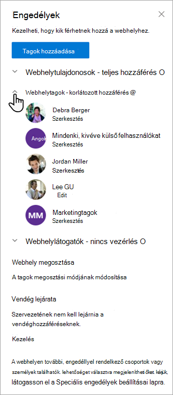 A tagok és jogosultsági szintjeik kezelésére szolgáló Engedélyek párbeszédpanel