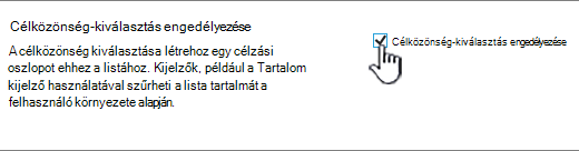 A célközönség célzásának engedélyezése jelölőnégyzet