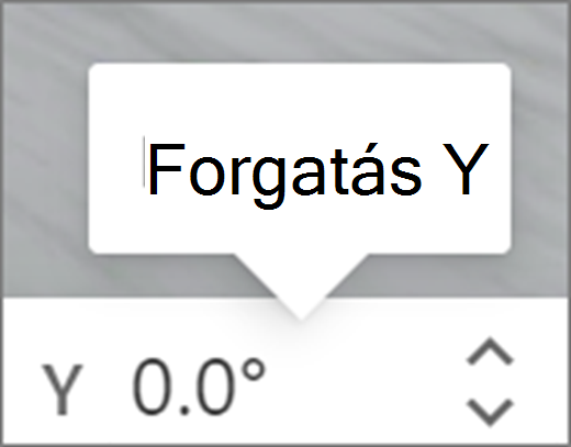 Y