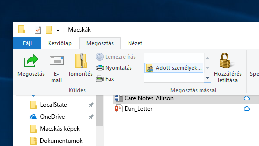 Fájl megosztása bizonyos személyekkel a hálózaton