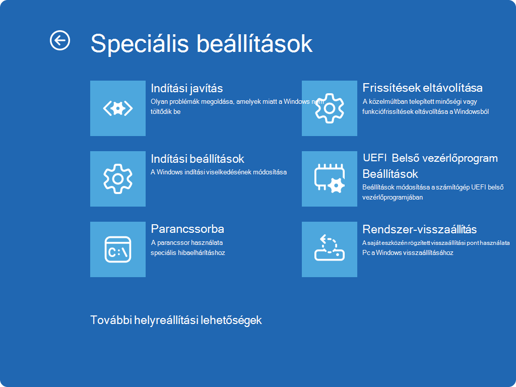 Screenshot of Windows RE - Advanced options screen.