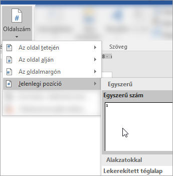 Képernyőkép az Egyszerű formátum beállításáról és az oldalszám a dokumentum aktuális pozíciójából