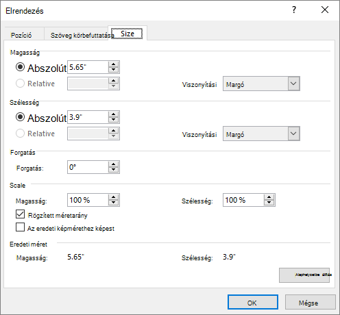 Layout options Size tab