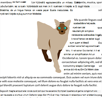 Csak a jobb oldali körbefuttatás