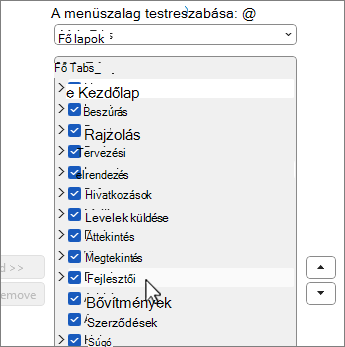 A Menüszalag testreszabása párbeszédpanel a kijelölt fejlesztőprogrammal