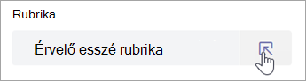 A diákok saját maguk tekinthetik meg a rubrikát