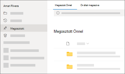 Képernyőkép a OneDrive Munkahelyi vagy iskolai verzió Önnel megosztva nézetéről.