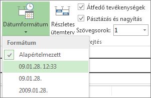 Timeline Date Format button and menu in Project