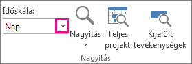 Timescale box on the View tab