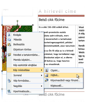 Changing a placeholder picture