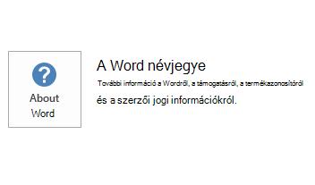 Képernyőkép a Word MSI-ről
