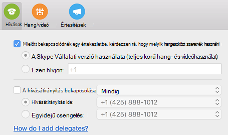 Hogyan adhatok hozzá meghatalmazottakat? súgó hivatkozás a Hívások lapon a Beállítások párbeszédpanelen