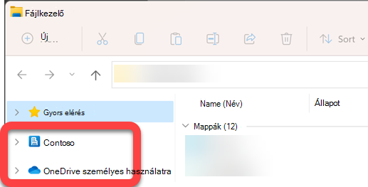 A Fájlkezelő bal oldalán lévő navigációs ablakban egy szinkronizált SharePoint-tár és egy szinkronizált OneDrive felső szintű mappái találhatók.