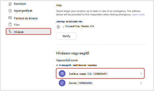 egy képernyő a Teamsben a Beállítások menüről