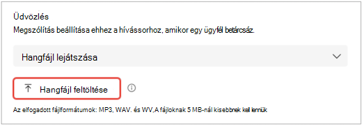 a Teams felhasználói felületének beállításait megjelenítő képernyője